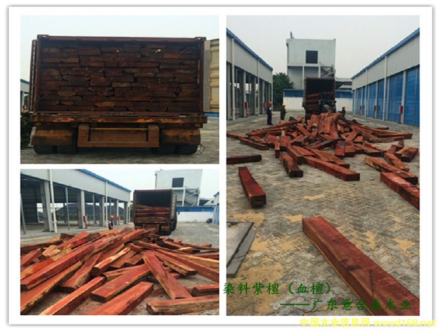 Ѫ̴��Ԕ����B