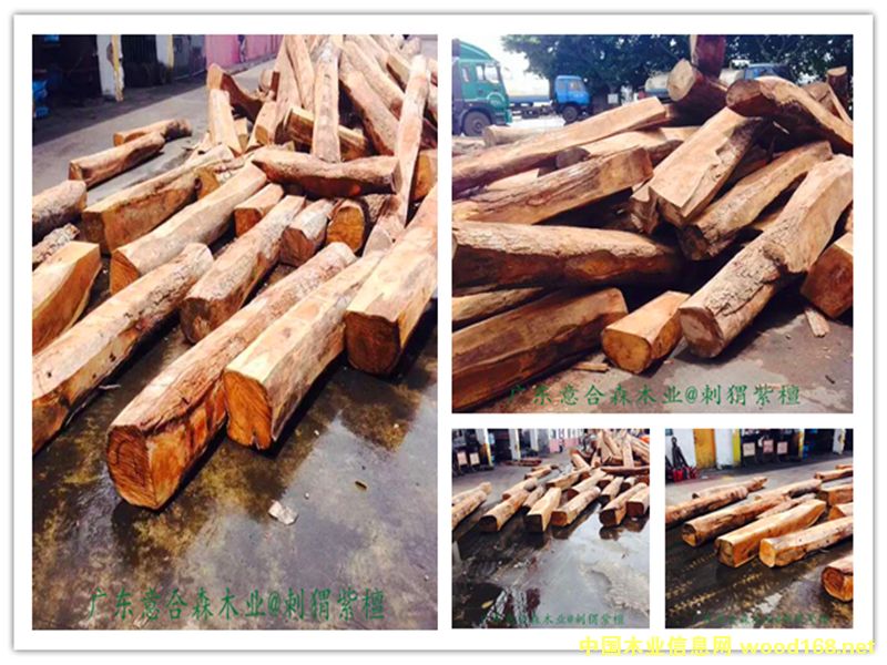 �����̴��Ԕ����B