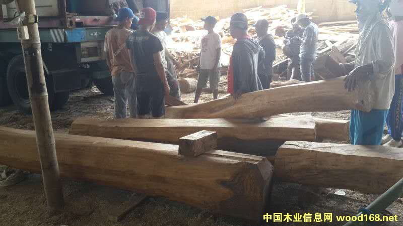 �c���鿴����֦1�Ŵ�DƬ