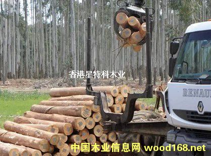 ��ľ��Ԕ��(x��)��B