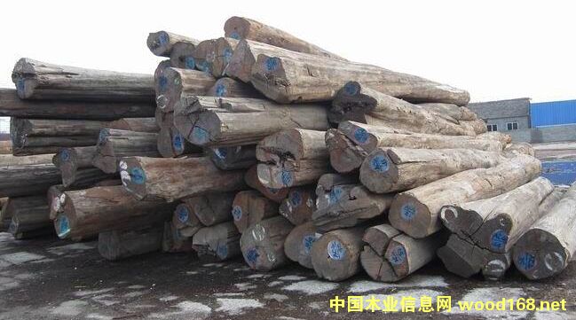 ���l(f��)�M(j��n)�ڸ��޻���ԭľ