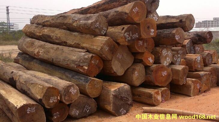 ���l(f��)�ϓ뻨��ԭľ