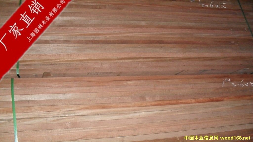 ɽ��ľ��Ԕ��(x��)��B