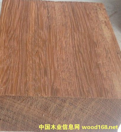 �c���鿴���}��Ŵ�DƬ