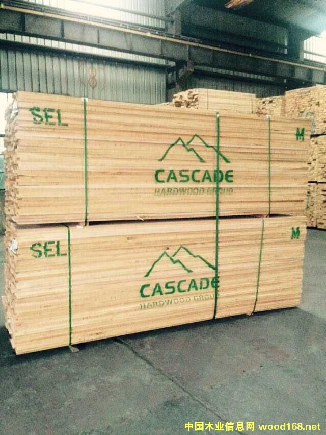 �����ĵ�Ԕ����B