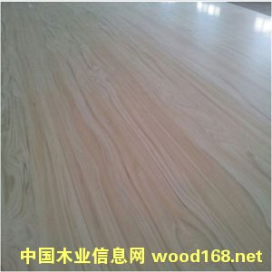 �������B���Ԕ����B