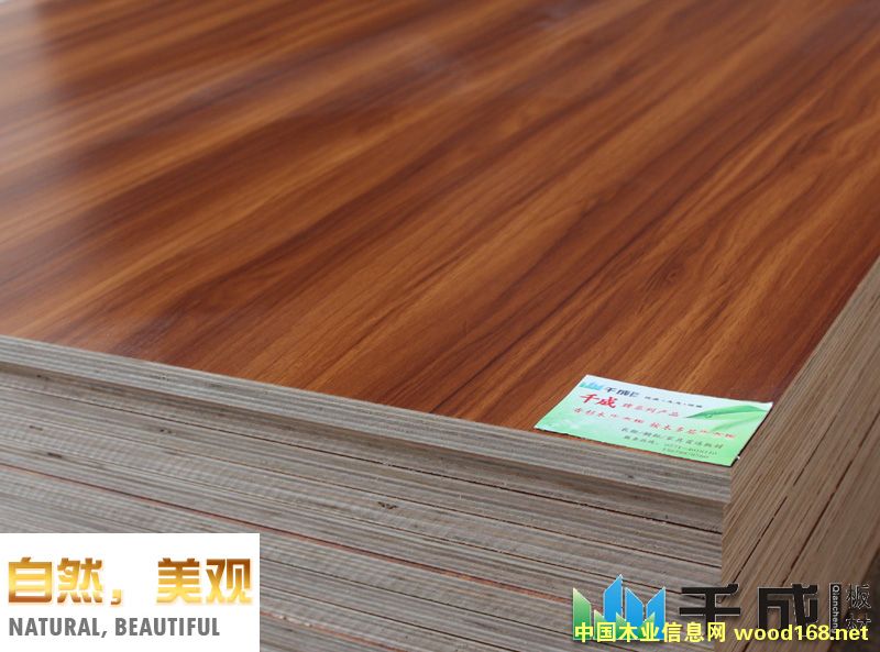 ����������B(t��i)���Ԕ��(x��)��B