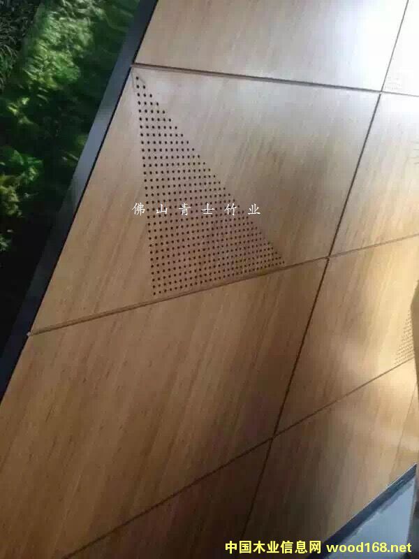 ��������Ԕ����B