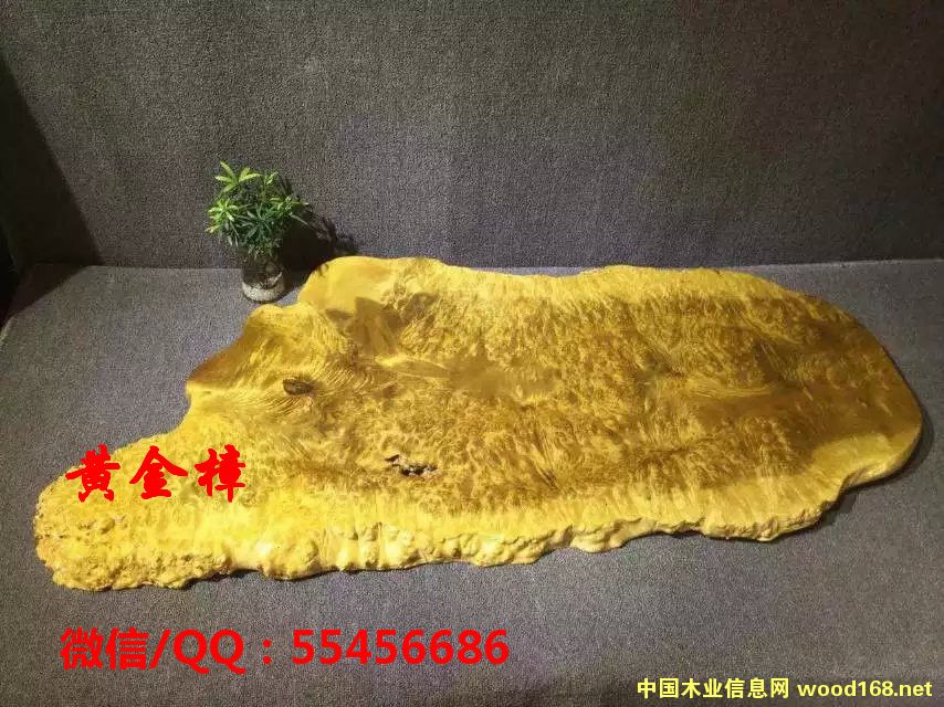 �S������P��Ԕ����B