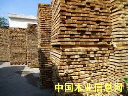 ��˼ľ��Ԕ����B