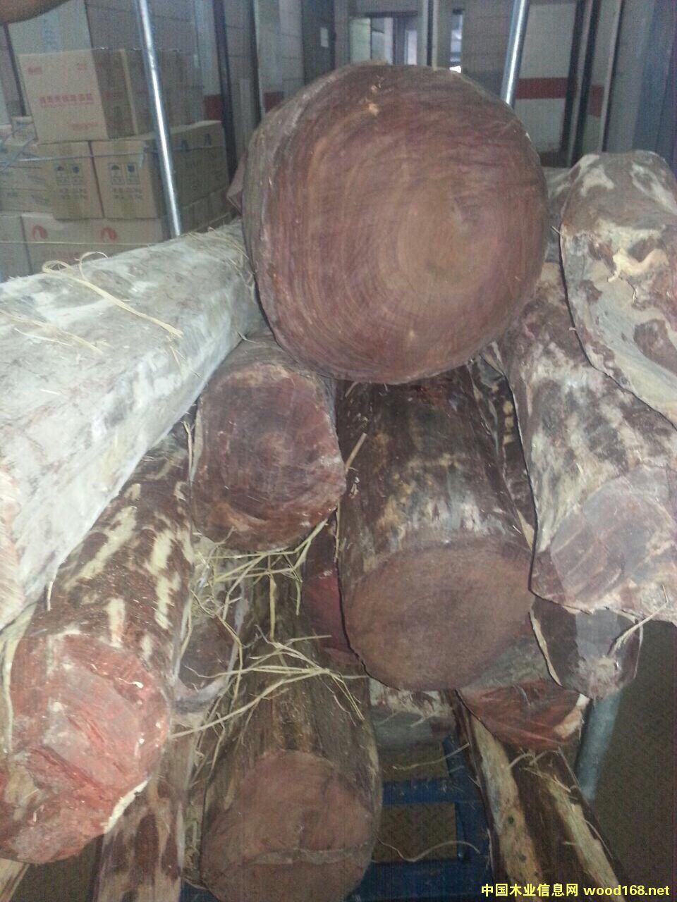 �����Ԕ����B