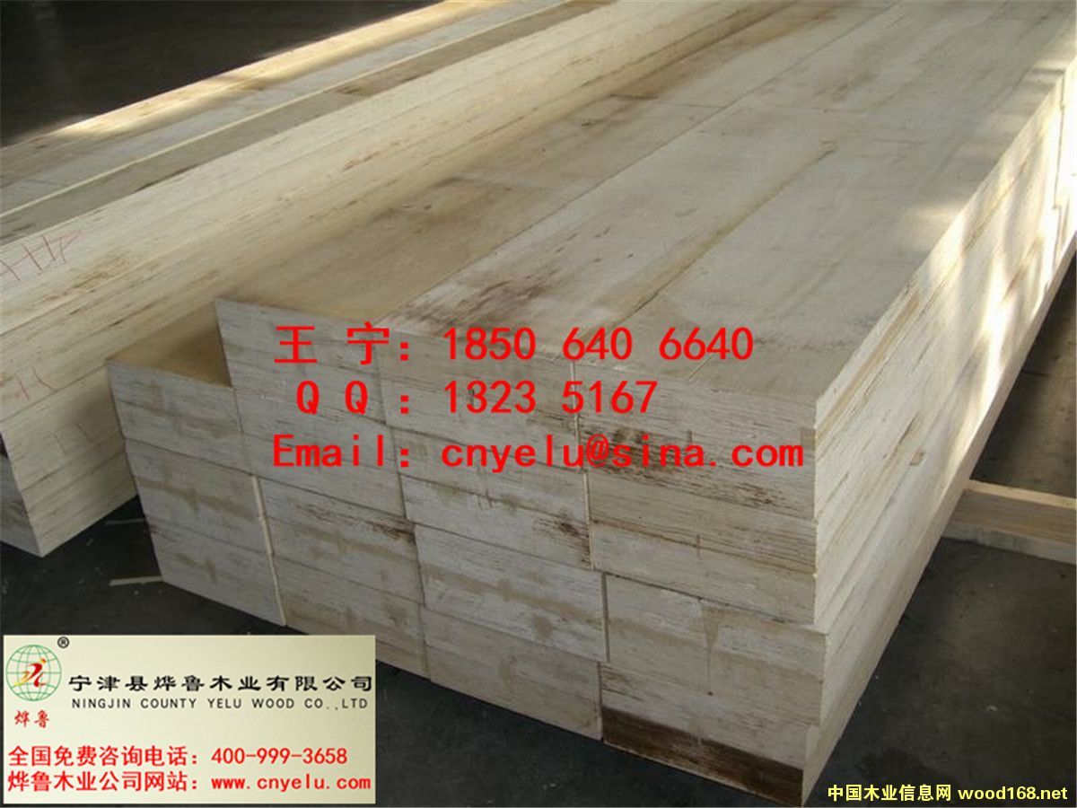 �c(di��n)���鿴LVL��ķŴ�DƬ