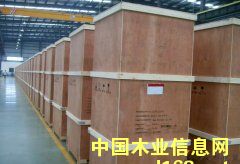 �c���鿴������Ѭ��ľ��Ŵ�DƬ