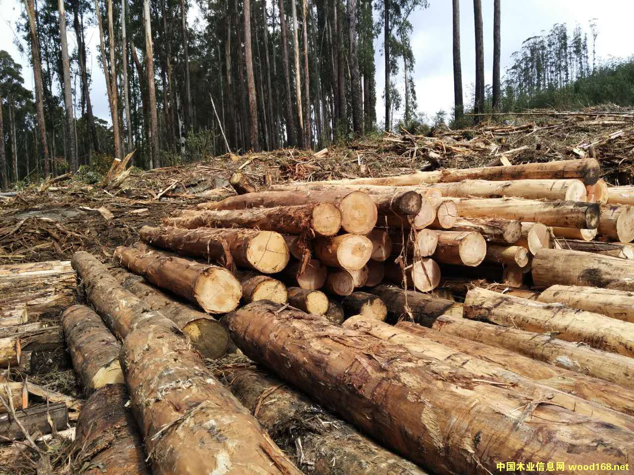 �c���鿴���骷Ŵ�DƬ