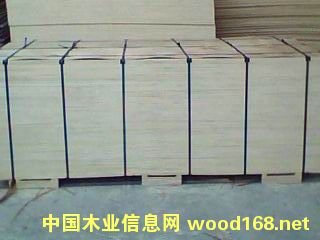 ����(y��ng)3-30������z�ϰ� ɳ�l(f��)�� ���b���Ԕ����B