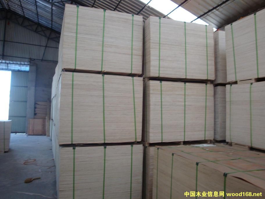 ����(y��ng)���b�� �Ҿ߰� �����z�ϰ��Ԕ����B