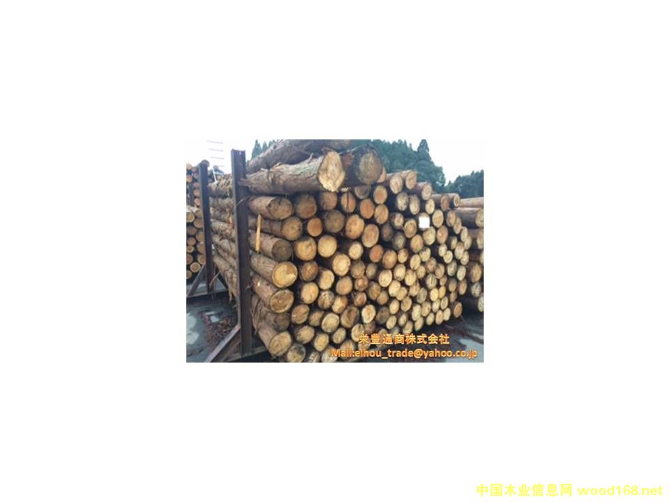 �ձ�ɼľԭľ(JAS)��Ԕ����B