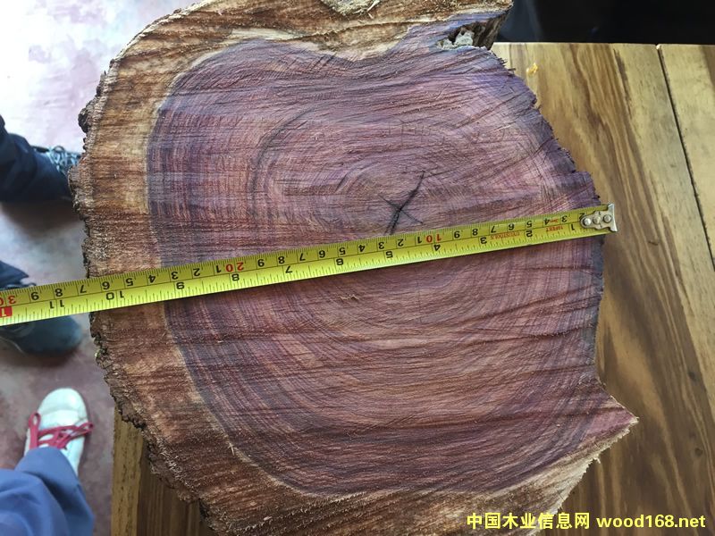 ZAMWINA ���Rľ��Ԕ����B