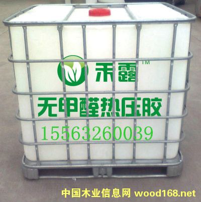 �󶹟oȩ�z��Ԕ����B