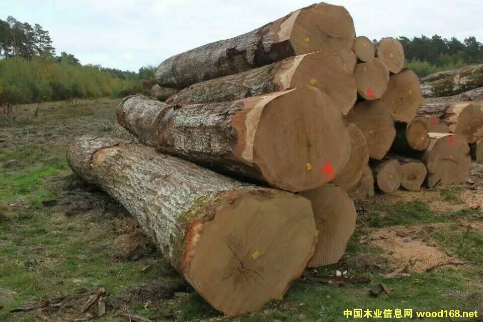 �W�޼t��ԭľ���̵�Ԕ����B