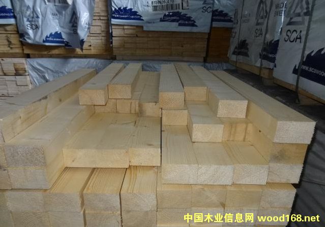 �c���鿴��ɼ�Ŵ�DƬ