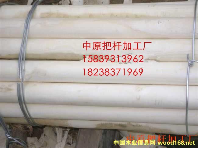 ���D�U, �ư�, �F�@��, �F���, ���, �N�ѵ�Ԕ����B