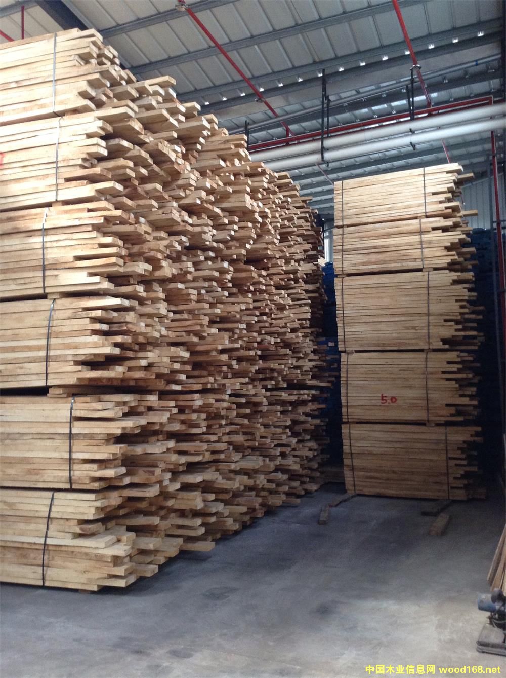 50MM�������zľ��Ԕ����B