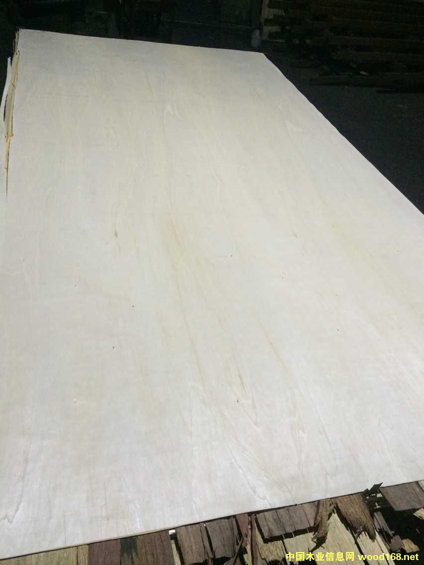 Ư�ח�ľ��Ƥ��Ԕ����B