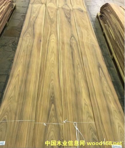 ��֦ɽ�y50�z��ȻľƤ��Ԕ����B