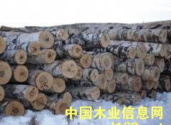 ���ۘ�ľԭľ��Ԕ����B