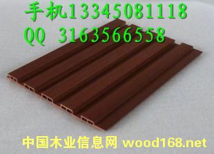 �B�d �²� �T�� ���� �������Bľ�S�҃r��