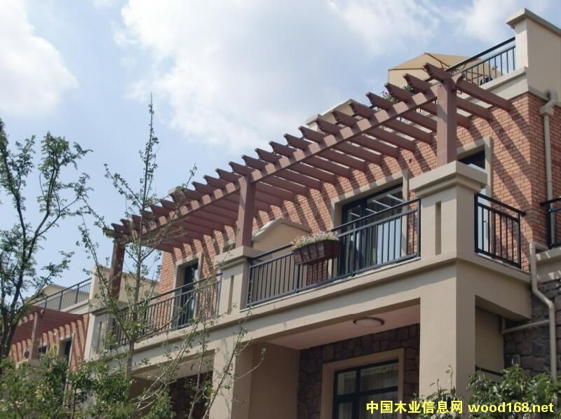 �c���鿴��ľ����Ŵ�DƬ