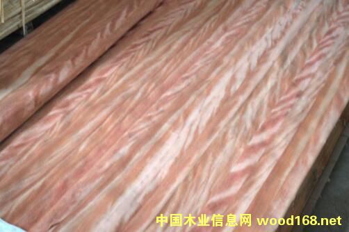 ����ľָ��ľƤ��Ԕ����B