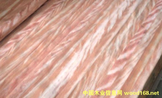 ��ľ��Ƥ��Ԕ��(x��)��B