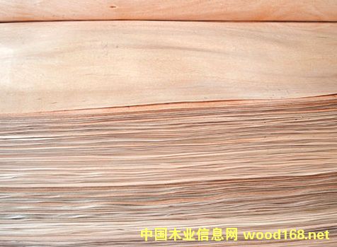 ��ľ�ΰ��Ԕ��(x��)��B