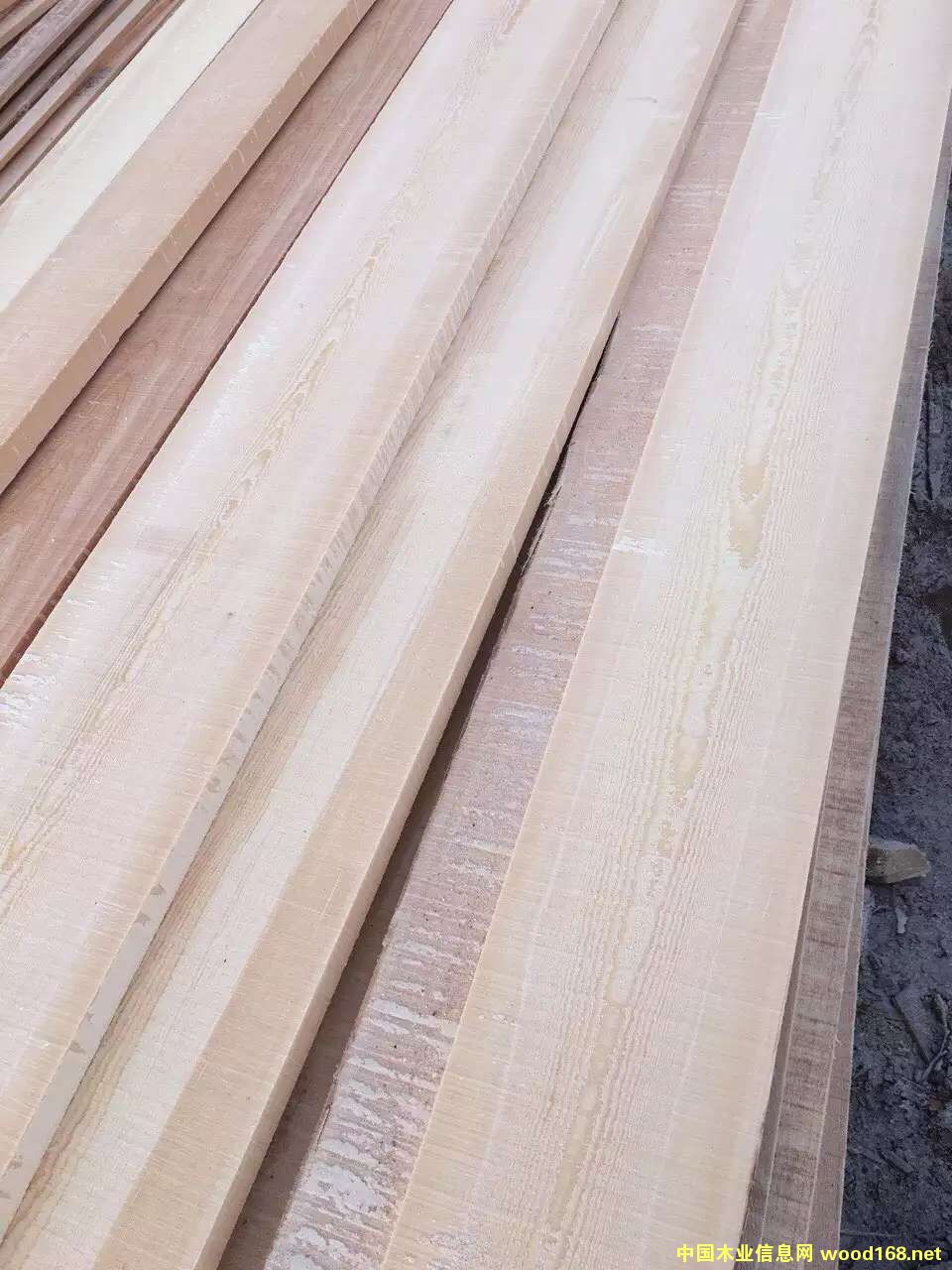 �o���ĵ�Ԕ����B