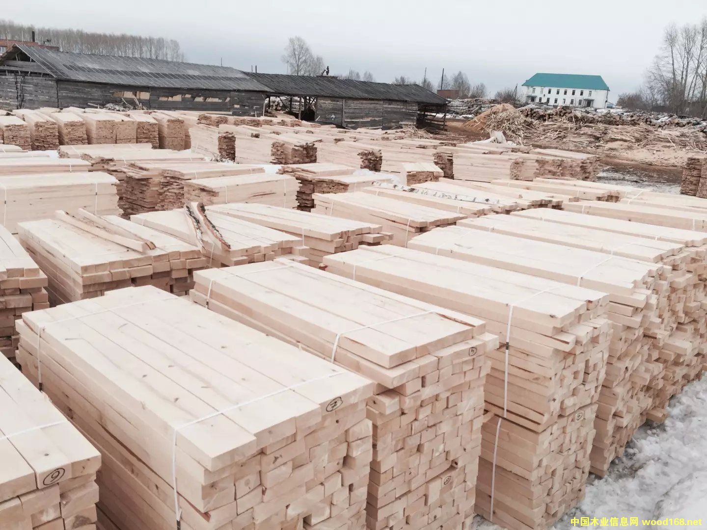 ��ľ���Ԕ����B