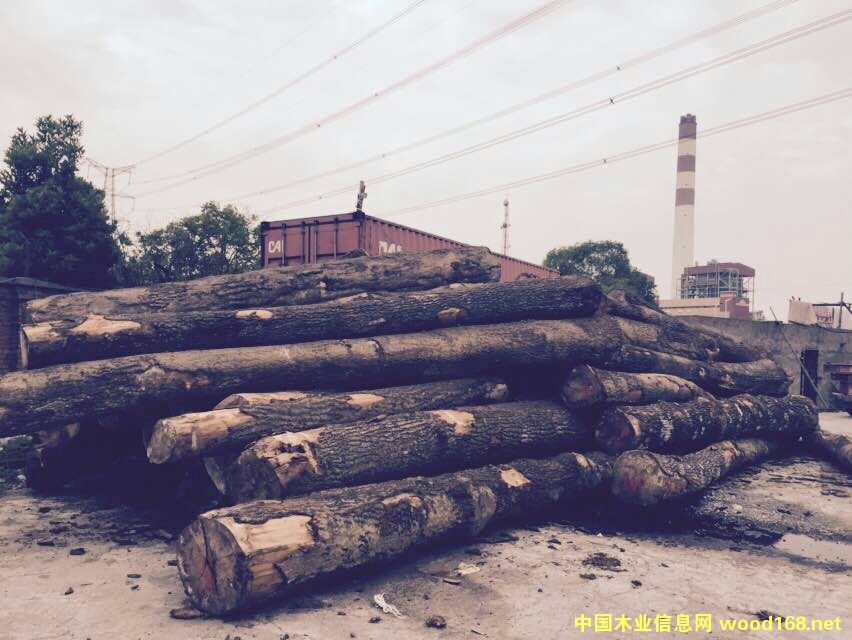 �����S������ľ