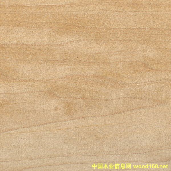 ܛ����Ԕ����B