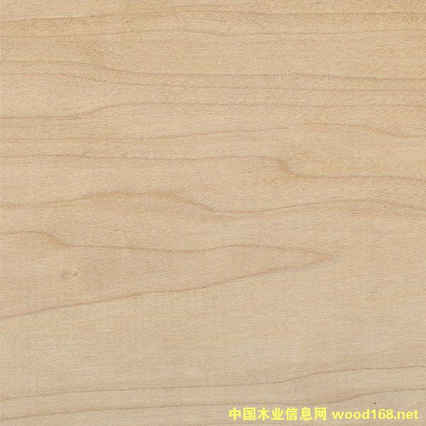 Ӳ����Ԕ����B