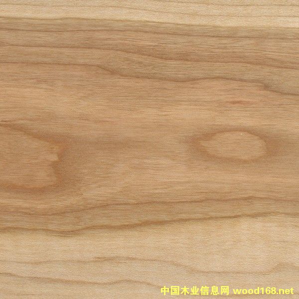 ����ľ��Ԕ����B