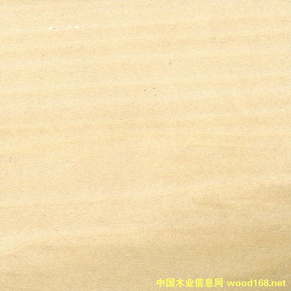 �S���Ԕ����B