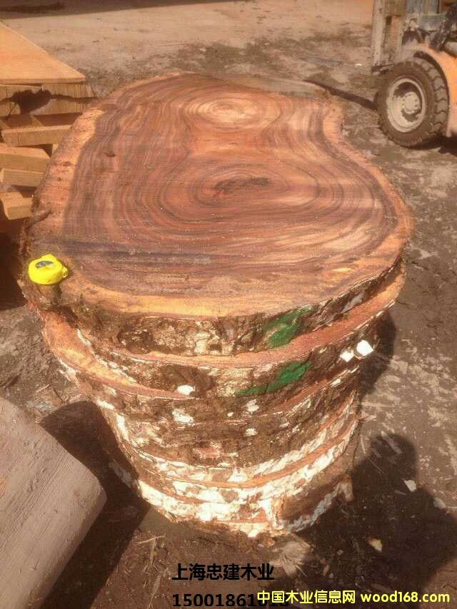 �����ں���