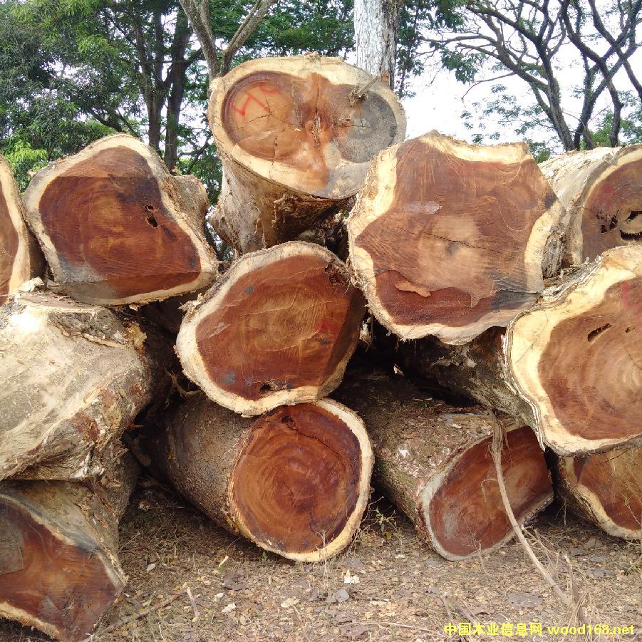 ��������ľ����ľ������ľ����Ԕ����B