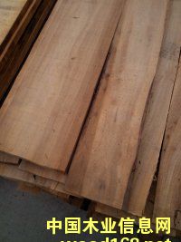 ��ľ��Ԕ����B