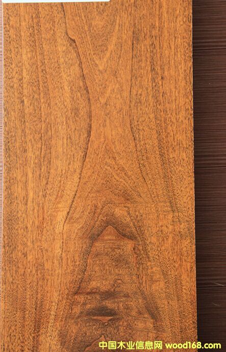 ��z����ٹ��