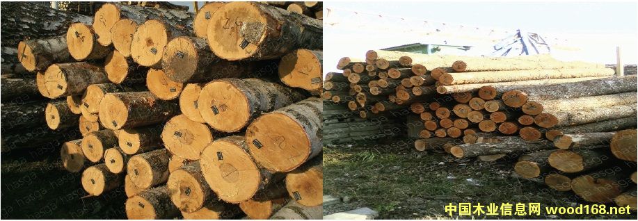 ����ľ�͘�ľԭľ