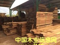 �S̴��Ԕ����B