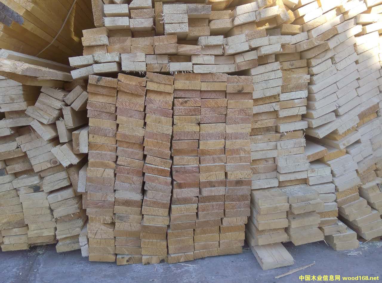 �����ٹ��