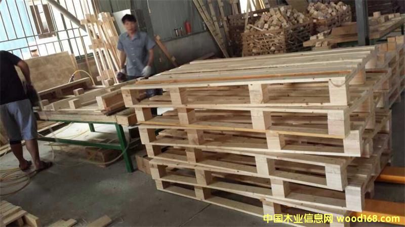 ������ľ�бP��Ԕ����B